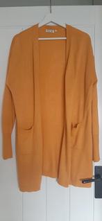 Damesvesten, xl., Ophalen of Verzenden, Zo goed als nieuw, Maat 42/44 (L), Blauw