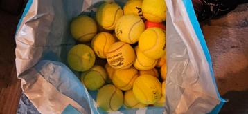 Honden tennisballen nieuw beschikbaar voor biedingen