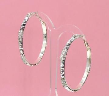 Zeer mooie zilveren strass creool oorbellen. beschikbaar voor biedingen