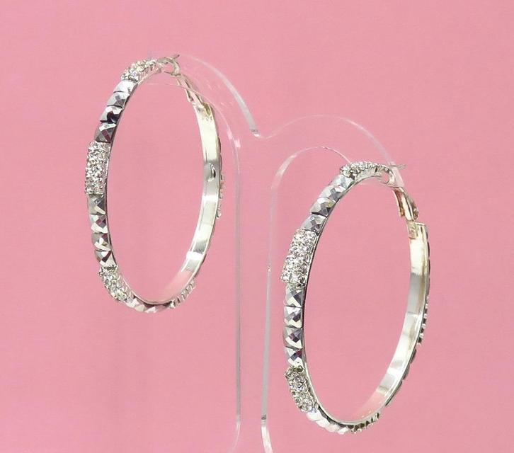 Zeer mooie zilveren strass creool oorbellen., Sieraden, Tassen en Uiterlijk, Oorbellen, Nieuw, Hangers, Overige materialen, Zilver