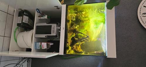 Juwel lido 120 inclusief filter co2 and skimmer, Dieren en Toebehoren, Vissen | Aquaria en Toebehoren, Zo goed als nieuw, Overige typen
