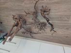 5x XL takken/hout, Dieren en Toebehoren, Ophalen, Plant(en), Steen of Hout