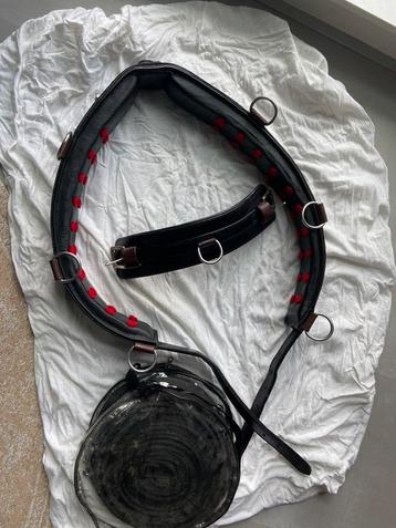 LAMMERT HAANSTRA SET COB/FULL beschikbaar voor biedingen