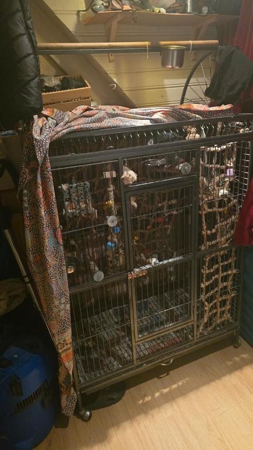 Stevige zwarte gehamerde kooi voor grotere papegaaien, Dieren en Toebehoren, Vogels | Hokken en Kooien, Gebruikt, Vogelkooi, Metaal