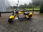 E chopper M1P, Ophalen, Nieuw, Overige typen