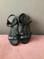 Ecco sandalen - Zwart, maat 39 zomer, Zwart, Gedragen, Sandalen of Muiltjes, Ophalen of Verzenden