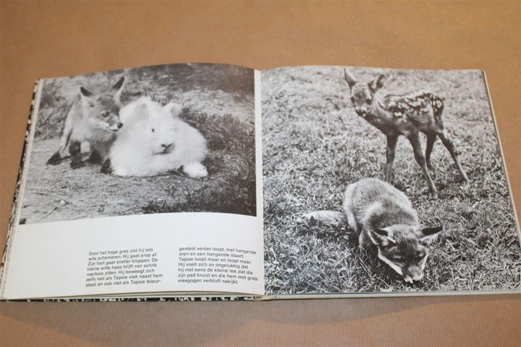 Het verhaal van... de kleine vos. Uitgave 1967., Ophalen of Verzenden, Gelezen