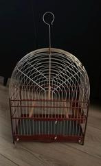 *Nieuwe Surinaamse kooi* 23 draads Purperhart, Dieren en Toebehoren, Ophalen, Nieuw, Hout, Vogelkooi