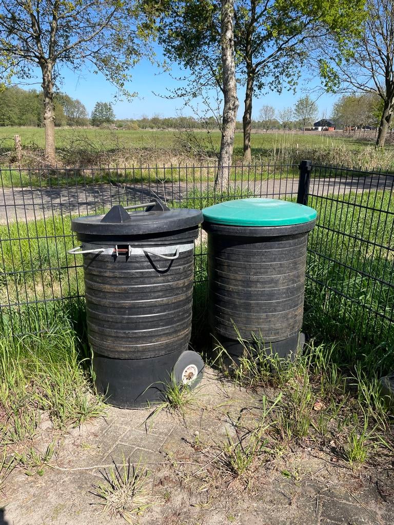 Kadaverton, Dieren en Toebehoren, Meerdere dieren, Varken