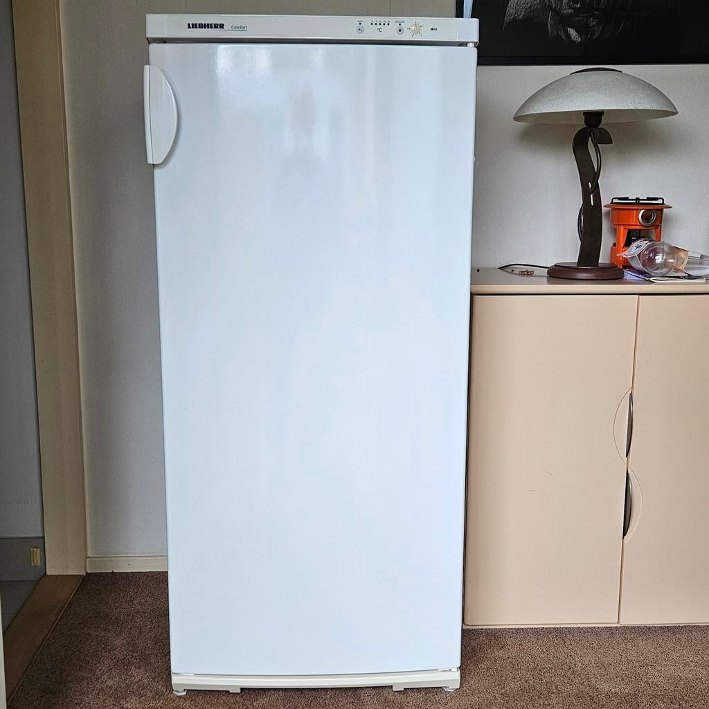 Liebherr vrieskast, 145 x 65 x 65, 6 laden, Witgoed en Apparatuur, Vriezers en Diepvrieskisten, Gebruikt, 60 tot 90 cm, Ophalen