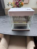Aquarium superfish met warmtepomp/LED licht 30L, Ophalen of Verzenden, Zo goed als nieuw, Leeg aquarium