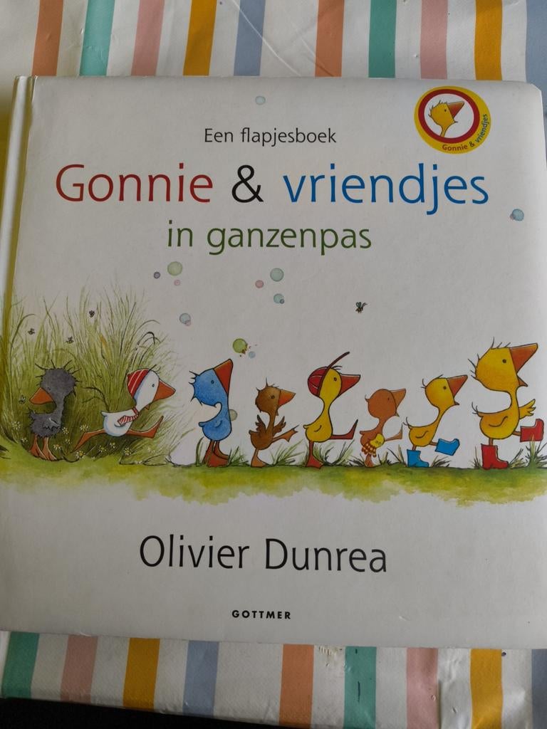 Gonnie & vriendjes in ganzenpas - Flapjesboek, Boeken, Ophalen of Verzenden, Fictie algemeen