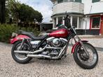 Harley Davidson FXR, Particulier, Chopper
