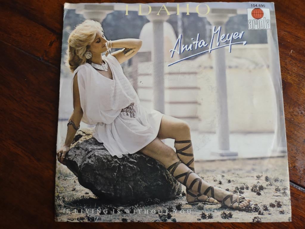 Single - Anita Meyer - Idaho, Ophalen of Verzenden, Zo goed als nieuw, Pop, Single