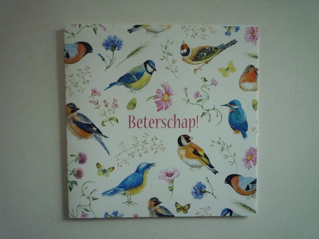 Janneke Brinkman vogels bloemen koolmees putter ijsvogel, Ophalen of Verzenden, Voor 1920, Vogel