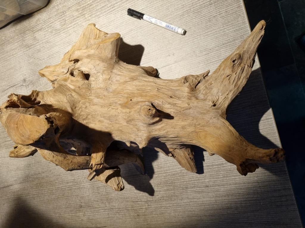 Groot stuk drijfhout 45 cm, Amfibie, 0 tot 2 jaar