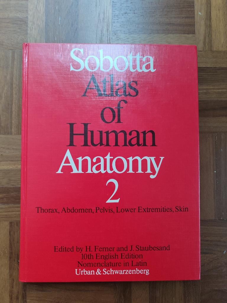 Studieboek Geneeskunde Sobotta anatomie, Ophalen of Verzenden, Beta, Zo goed als nieuw, WO