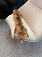 vossenbontstola oude vintage vossen bont stola type dat vaak, Ophalen of Verzenden, Gebruikt, Beeldje of Figuurtje