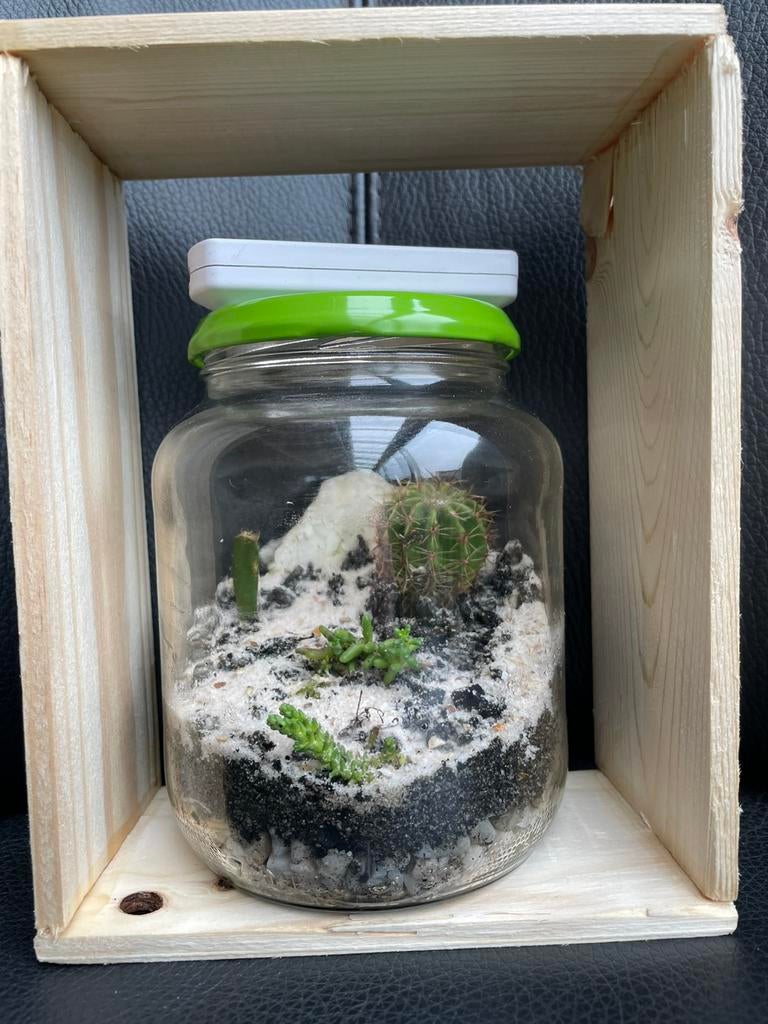 Ecosysteems- eigentuintje - terrarium - flessentuin14,5x18cm, Ophalen, Zo goed als nieuw