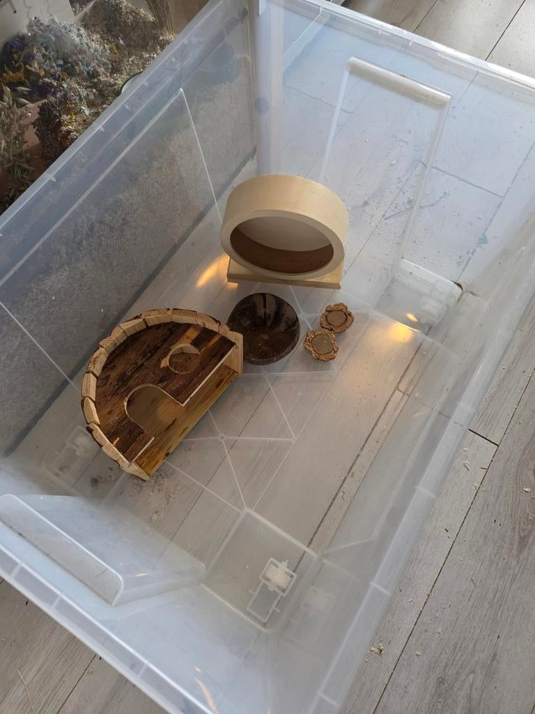 Hamster spullen gratis, Gebruikt, Ophalen, Minder dan 60 cm, Hok
