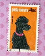 Roemenie gestempeld 198 => Honden - Poedel