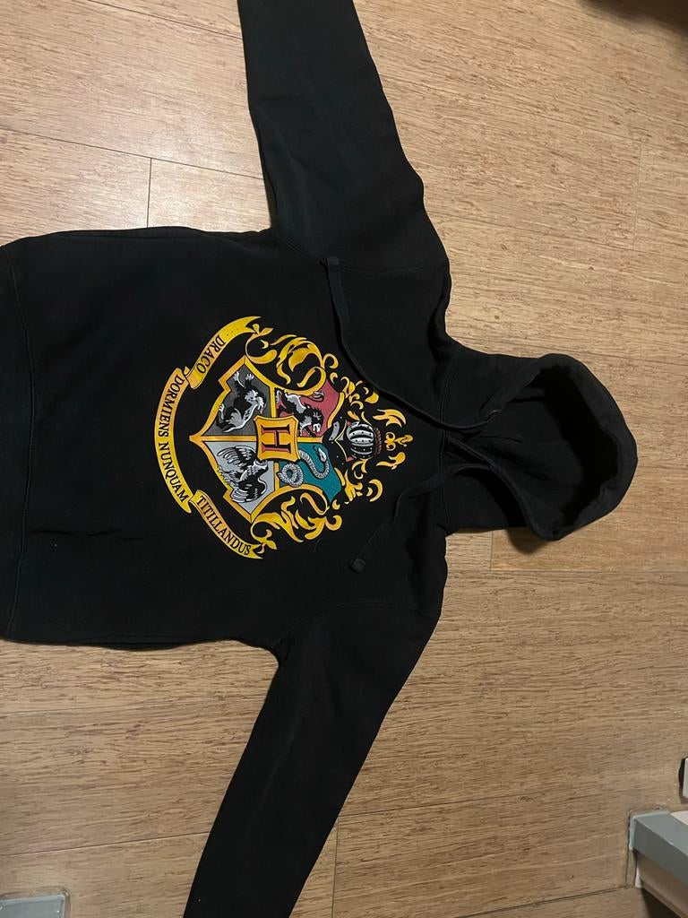 Warme Harry Potter sweater - Ideaal voor koude dagen!, Kleding | Heren, Truien en Vesten, Ophalen of Verzenden, Gedragen, Overige maten