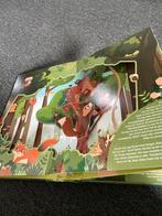 Avontuur in het bos: Pop-up boek, Boeken, Ophalen of Verzenden, Zo goed als nieuw, Uitklap-, Voel- of Ontdekboek, 3 tot 4 jaar