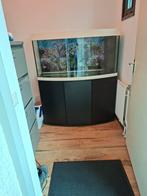 Aquarium te koop vaste  prijs  150 euro, Ophalen of Verzenden, Zo goed als nieuw, Leeg aquarium