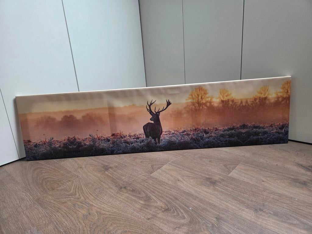Schilderij op canvas met hert in mistig landschap, Ophalen
