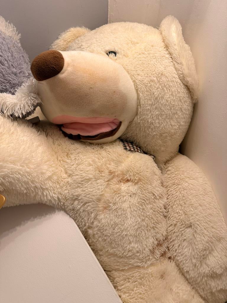 Grote witte teddybeer - knuffelbeer, Ophalen, Gebruikt, Beer, Wit