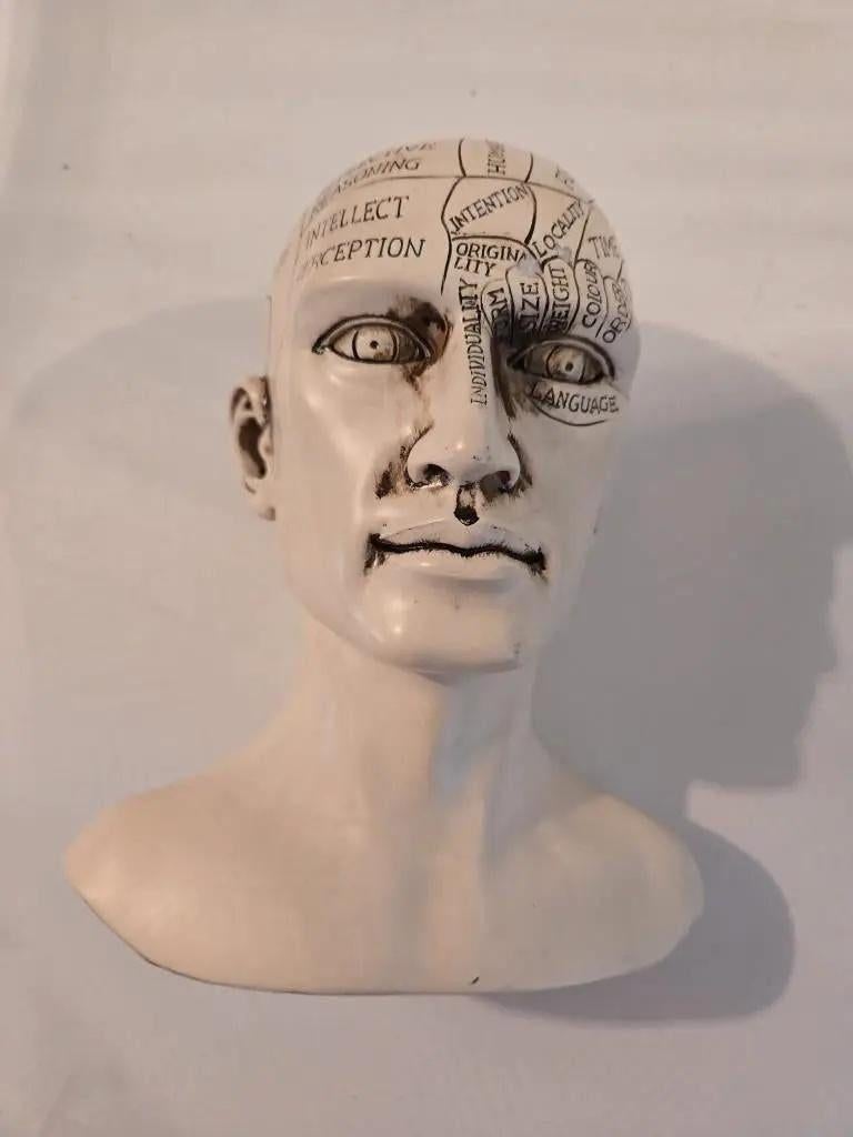 Frenologie Hoofdje, Antiek en Kunst, Ophalen of Verzenden