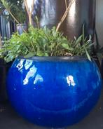 Mooie grote blauwe bol bloempot 38cm excl. planten, 25 tot 40 cm, Gebruikt, Rond, Ophalen of Verzenden