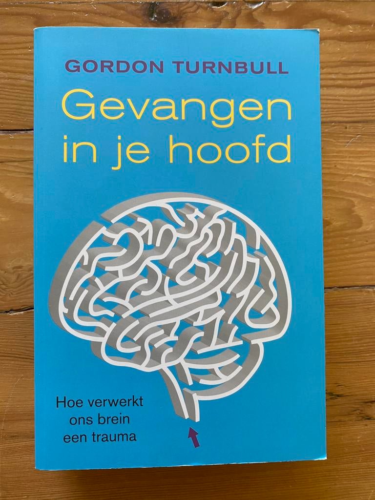 Gevangen in je hoofd - Gordon Turnbull, Ophalen of Verzenden, Gelezen