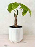 Klein bloempotje pot ribbel Scandinavisch wit potje bloempot, Rond, Ophalen of Verzenden, Aardewerk, Binnen