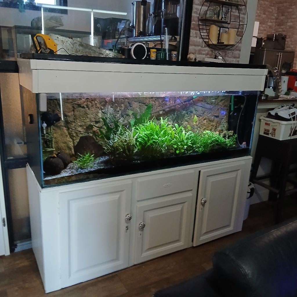 vissen, Ophalen, Inclusief vissen, Gebruikt, Overige typen