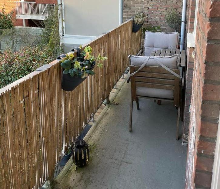 Bamboe schutting, Ophalen, Zo goed als nieuw, Hout, 3 tot 6 meter