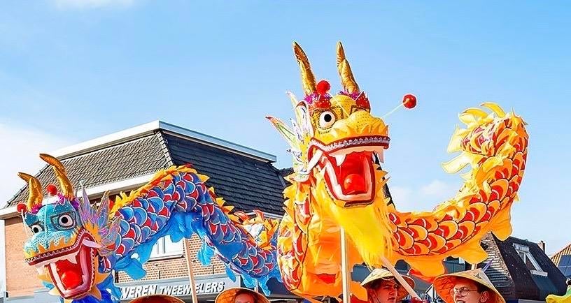Chinese draak carnaval, Ophalen of Verzenden, Gebruikt, Versiering, Carnaval