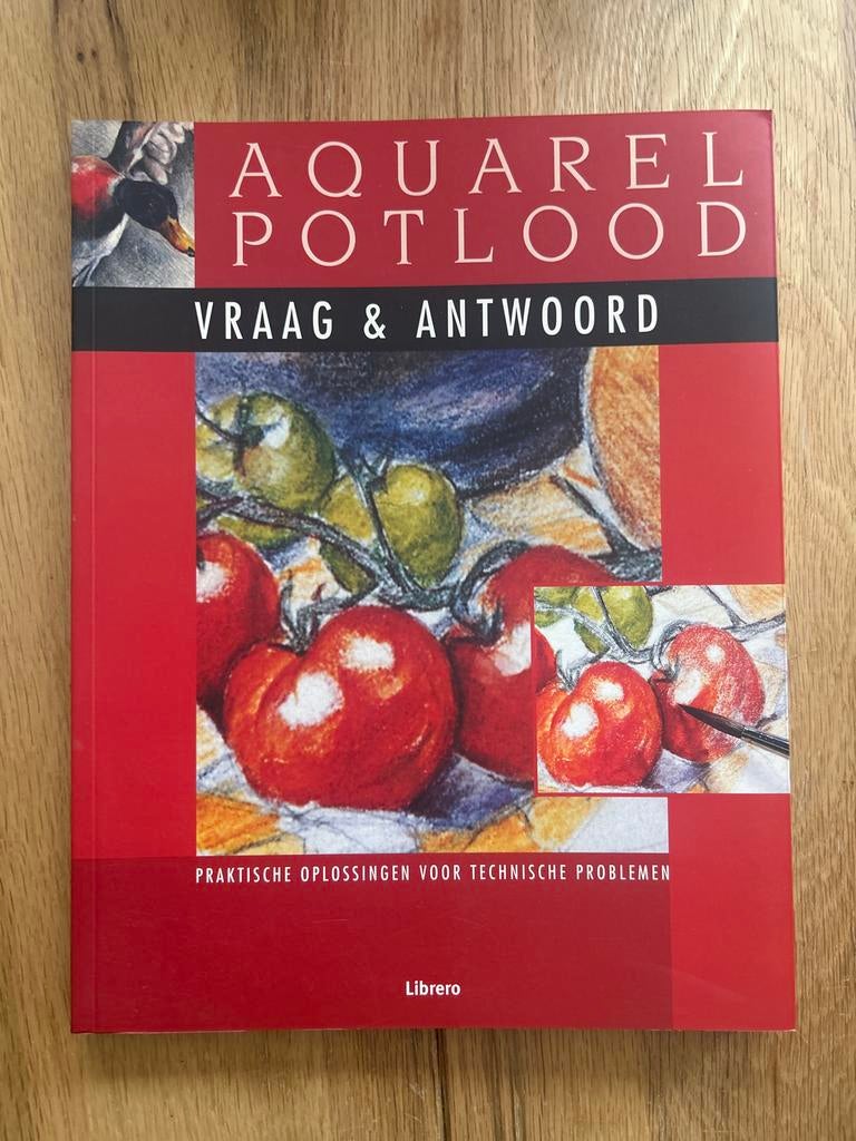 Aquarel Potlood Vraag & Antwoord - Praktische Oplossingen, Ophalen of Verzenden, Zo goed als nieuw, Techniek