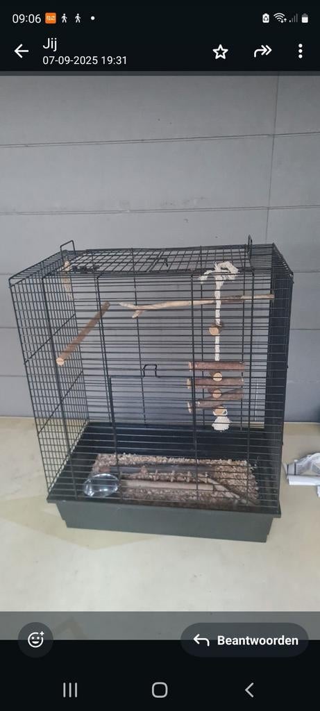 Vogelkooi, Dieren en Toebehoren, Verzenden, Gebruikt, Hout, Vogelkooi