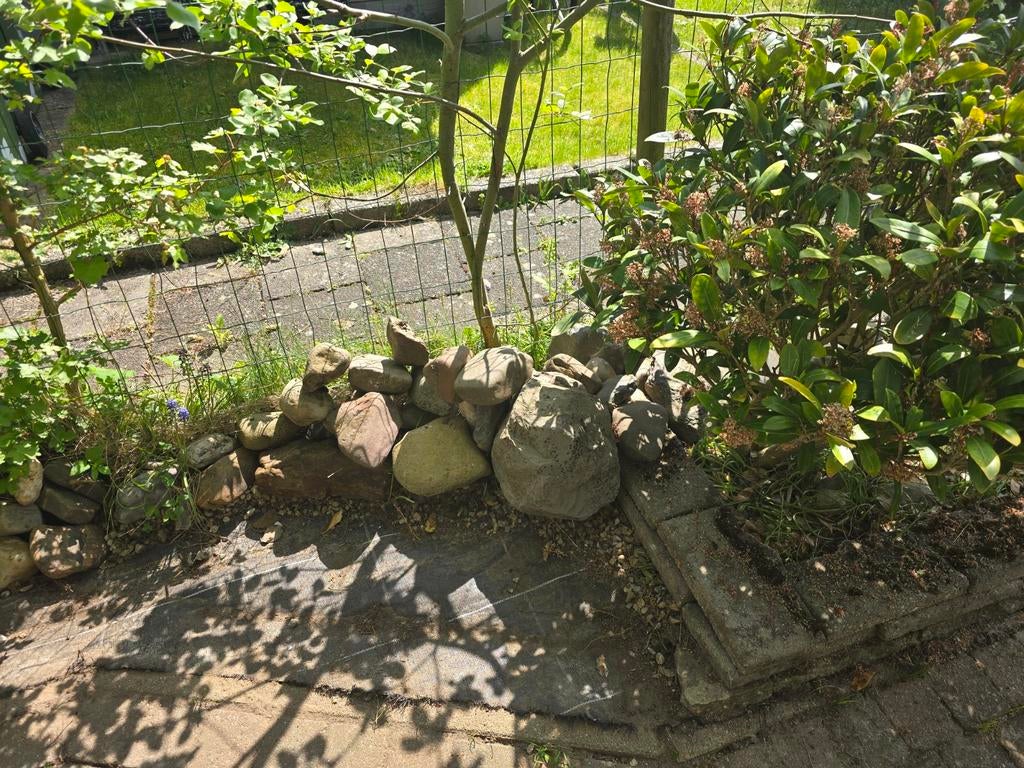 Gratis maaskeien voor tuin of vijver, Tuin en Terras, Grind, Keien en Split, Ophalen