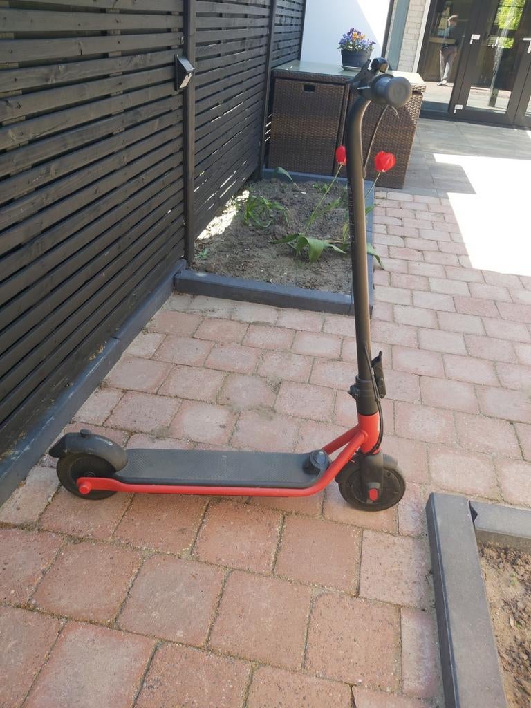 Segway - Ninebot Zing C15E rood, Ophalen, Zo goed als nieuw, Elektrische step (E-scooter), Segway Ninebot