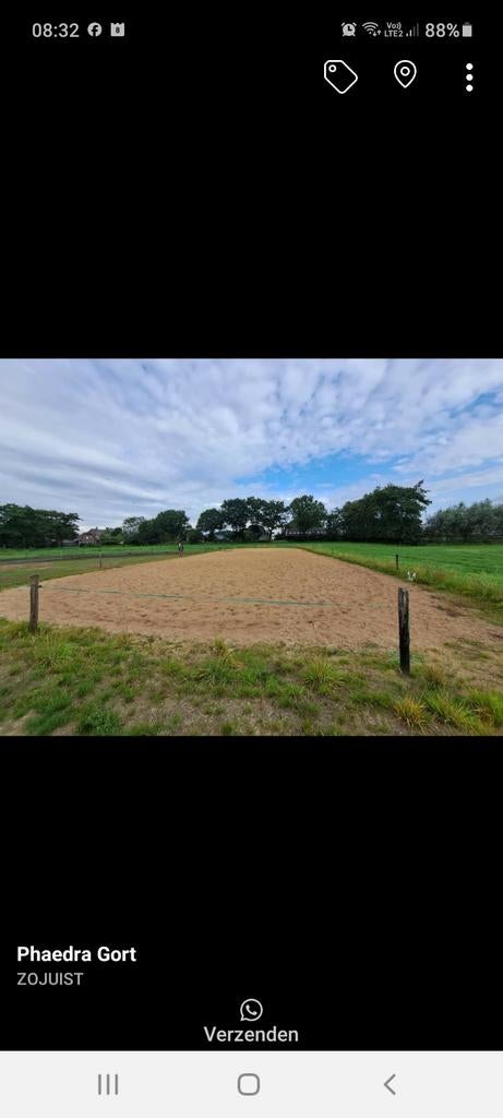 Stalling +weidegang aangeboden, Dieren en Toebehoren, Stalling en Weidegang, Stalling, Weidegang