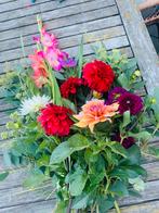 Dahliaknollen, wie wil er ruilen?, Ophalen, Volle zon, Knol