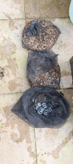 Filtermateriaal vijverfilter, Ophalen