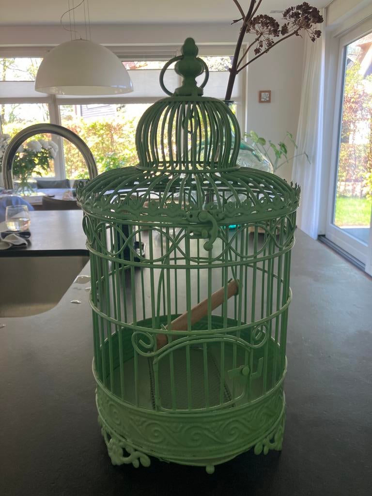 Brocante groen vogelkooitje. decoratief gebruik, Huis en Inrichting, Groen, Brocante, Ophalen of Verzenden, Zo goed als nieuw