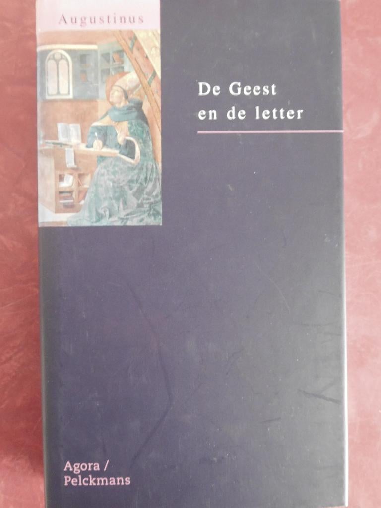 Augustinus De Geest en de letter, Boeken, Ophalen of Verzenden, Zo goed als nieuw