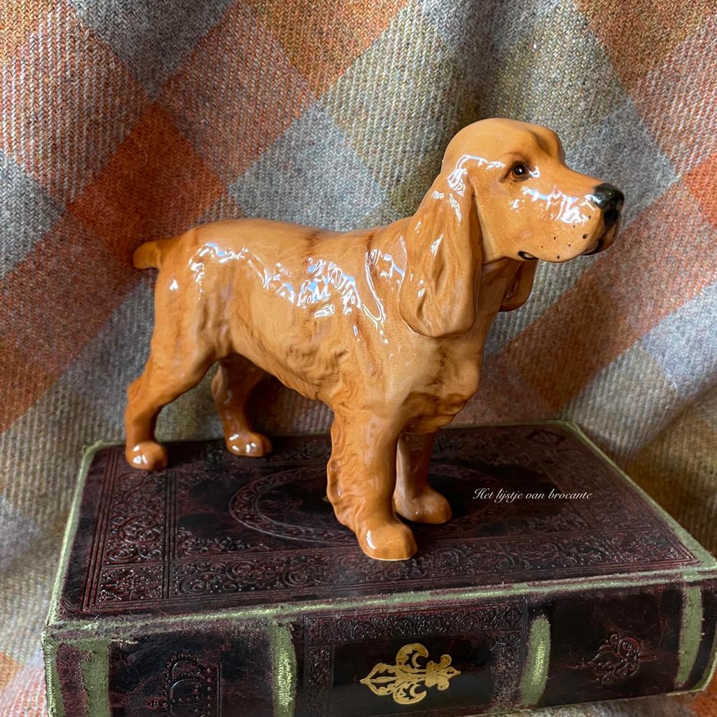 Engels brocante porseleinen Cocker Spaniël Beswick, Ophalen of Verzenden