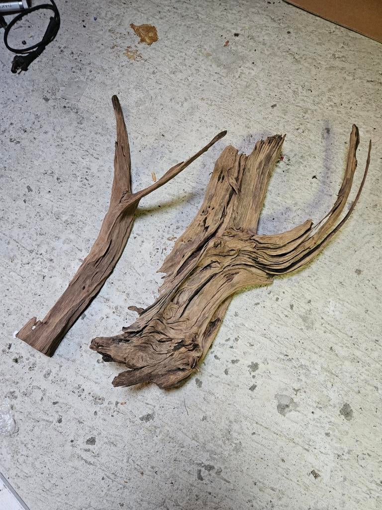 kienhout, Dieren en Toebehoren, Vissen | Aquaria en Toebehoren, Ophalen of Verzenden, Zo goed als nieuw, Plant(en), Steen of Hout