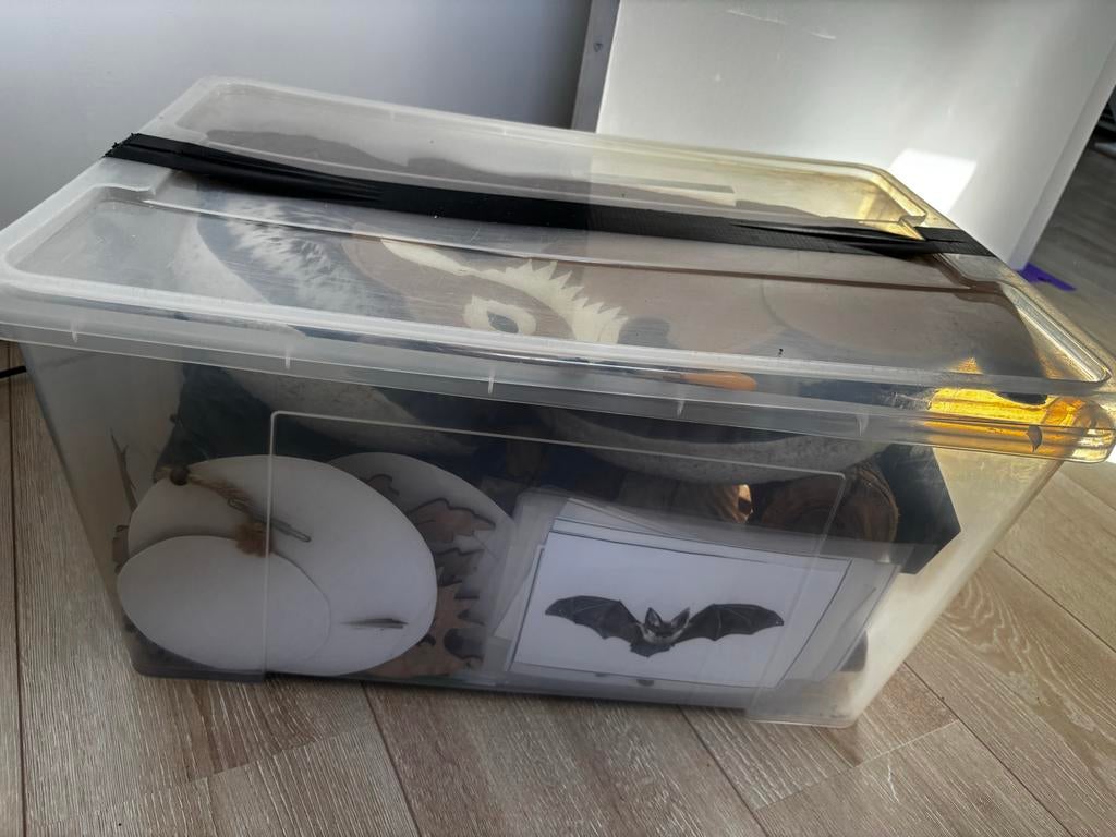 Herfst decoratie en lesbenodigdheden, Huis en Inrichting, Woonaccessoires | Overige, Hout, Gebruikt, Ophalen of Verzenden, Landelijk