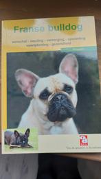 Boek Franse Bulldog: Aanschaf, Voeding, Verzorging & Meer, Boeken, Ophalen of Verzenden, Gelezen, Honden, Paul Overgauw